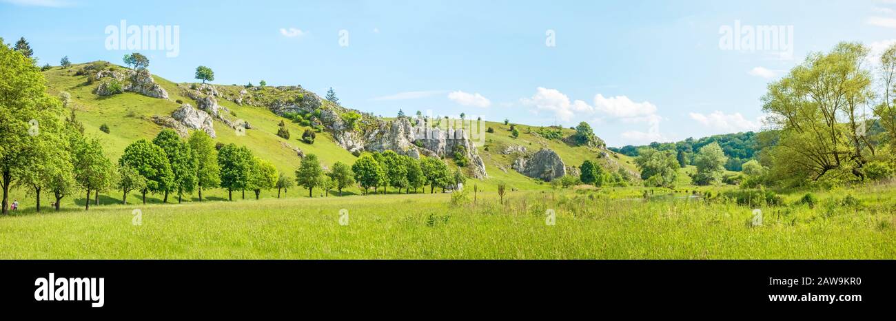 Panorama della valle Eselsburger tal vicino al fiume Brenz - gioiello delle alpi sveve (Schwaebische Alb), prato verde / prato di fronte Foto Stock