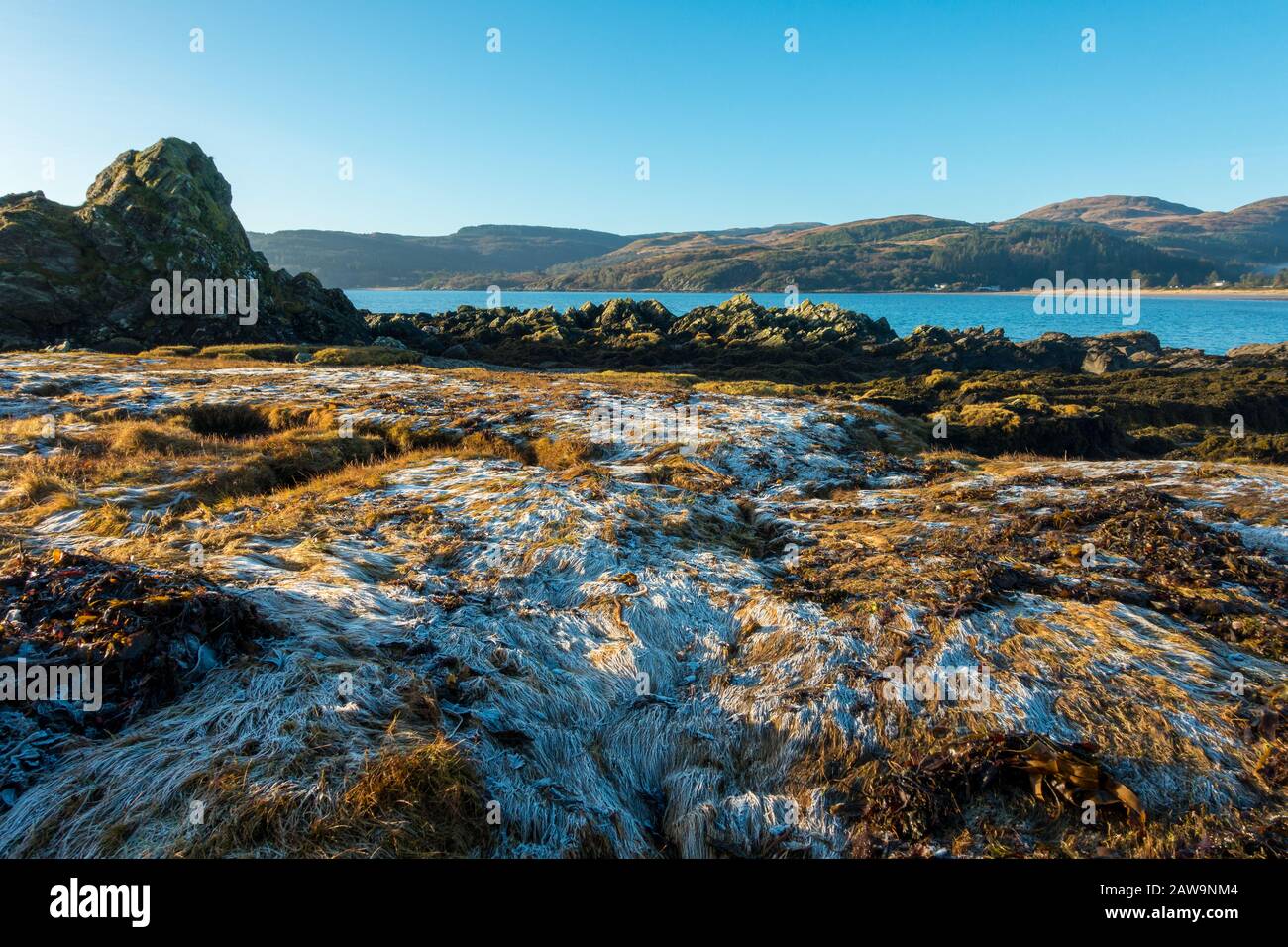 Paesaggi scozzesi: Gelido, freddo nella baia di Carradale, Kintyre, Argyll, Scozia, Regno Unito Foto Stock