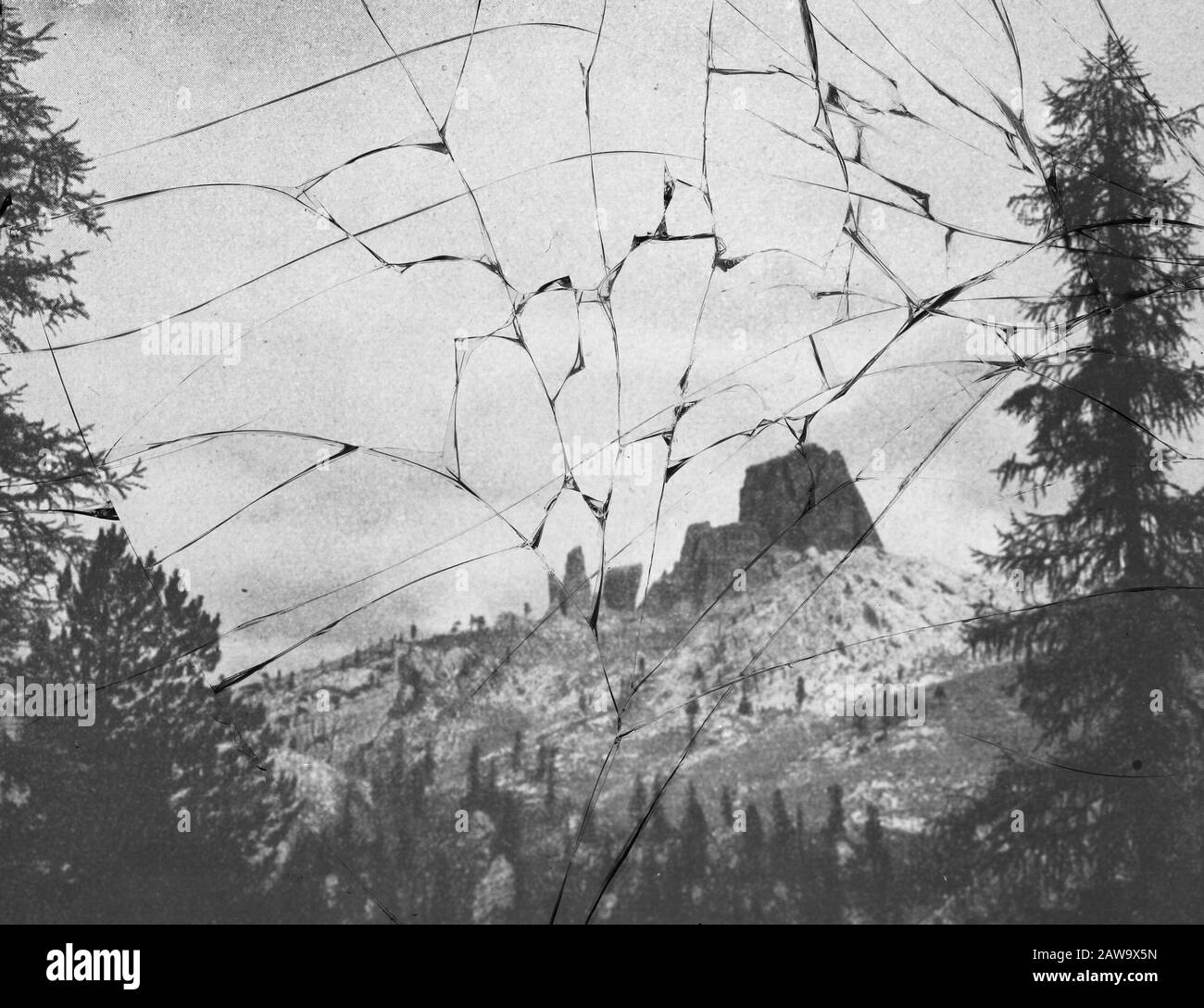 Resti di foresta in montagna Data: Parole Chiave dense: Selvicoltura, suolo straniero, clima Foto Stock