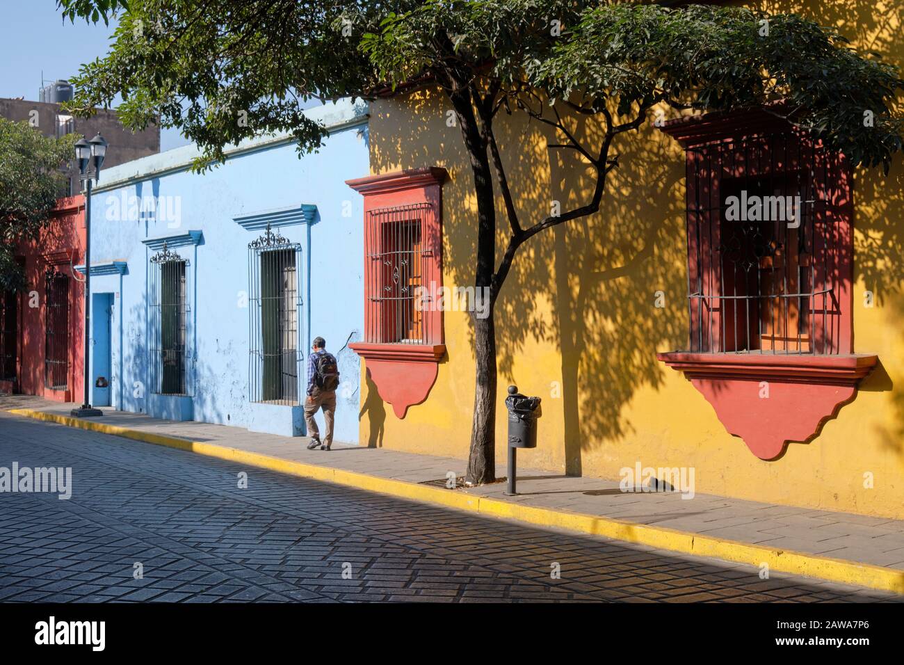 Colorate case coloniali di Oaxaca nella città vecchia, sulla strada alberata illuminata dal sole. Oaxaca, Messico Foto Stock