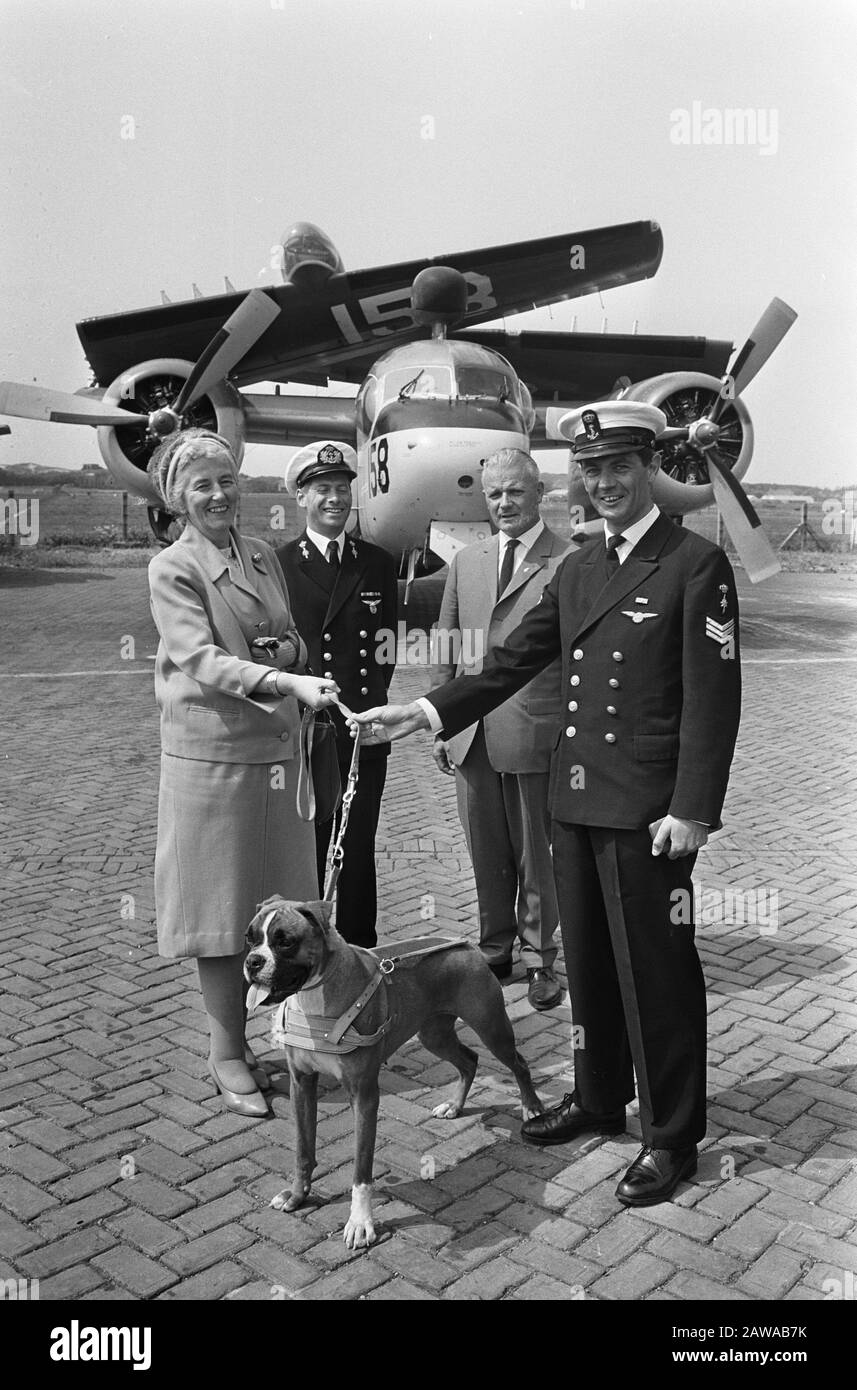 Marine donates cane guida, Sig.ra A. Green Korthof prende boxer ricevuto. Data: 11 Giugno 1965 Parole Chiave: Entrate, Cani Foto Stock