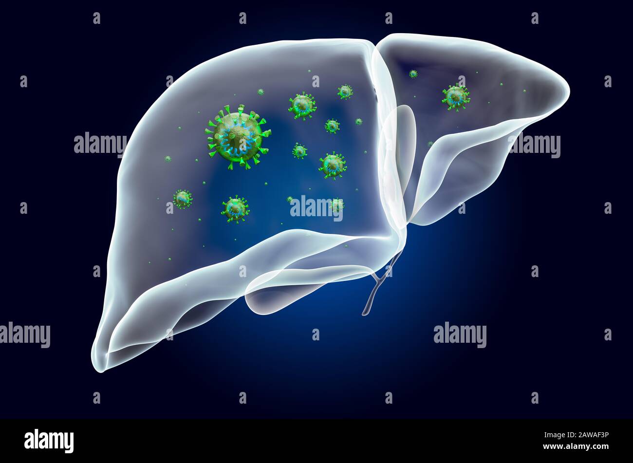 Fegato e cistifellea con virus, effetto di luce fantasma, ologramma a raggi X. Rendering 3D su sfondo blu scuro Foto Stock