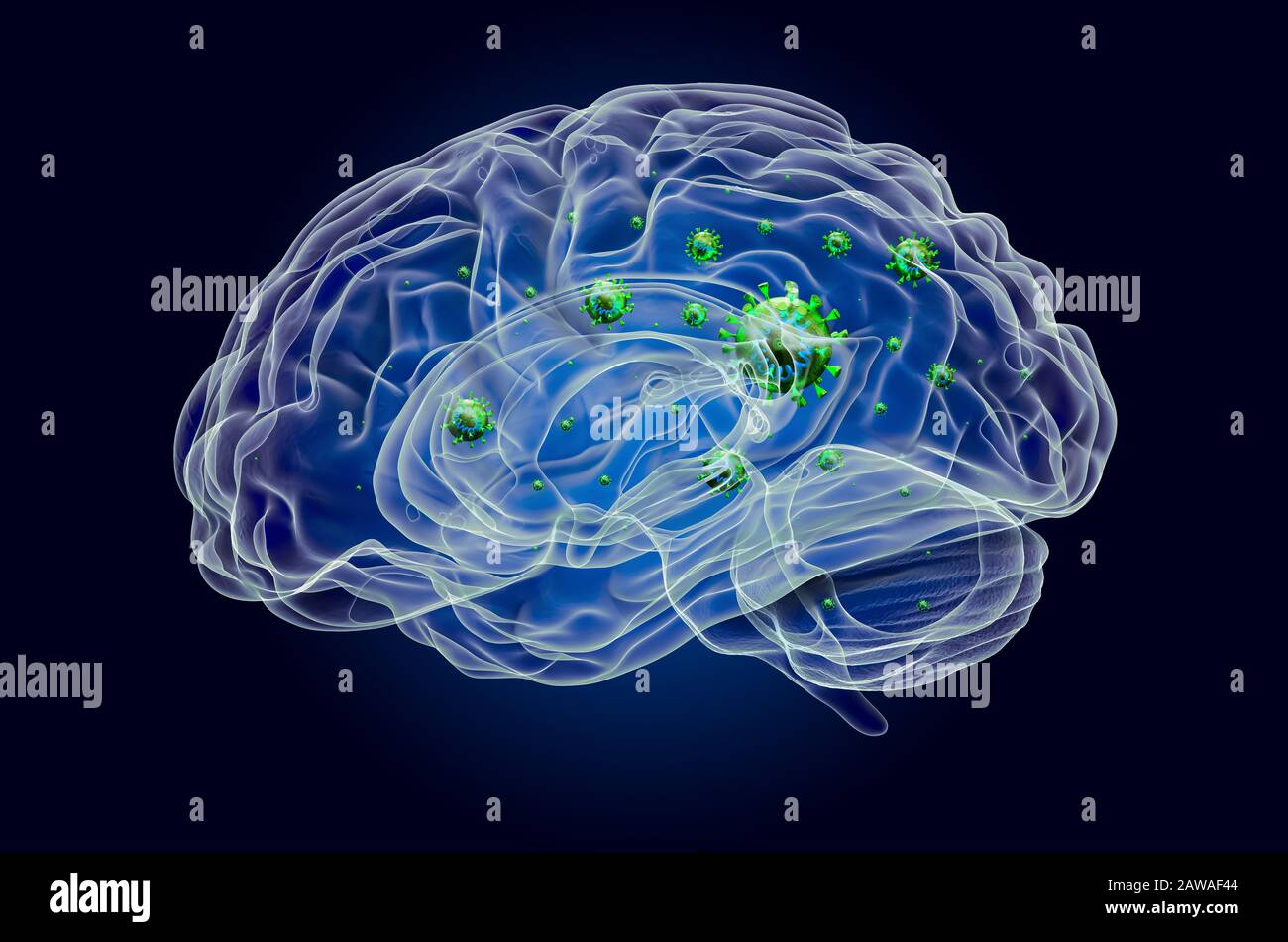 Cervello con virus, effetto luce fantasma, ologramma a raggi X. Rendering 3D su sfondo blu scuro Foto Stock