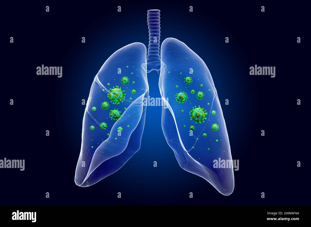 Polmoni con virus, effetto di luce fantasma, ologramma a raggi X. Rendering 3D su sfondo blu scuro Foto Stock