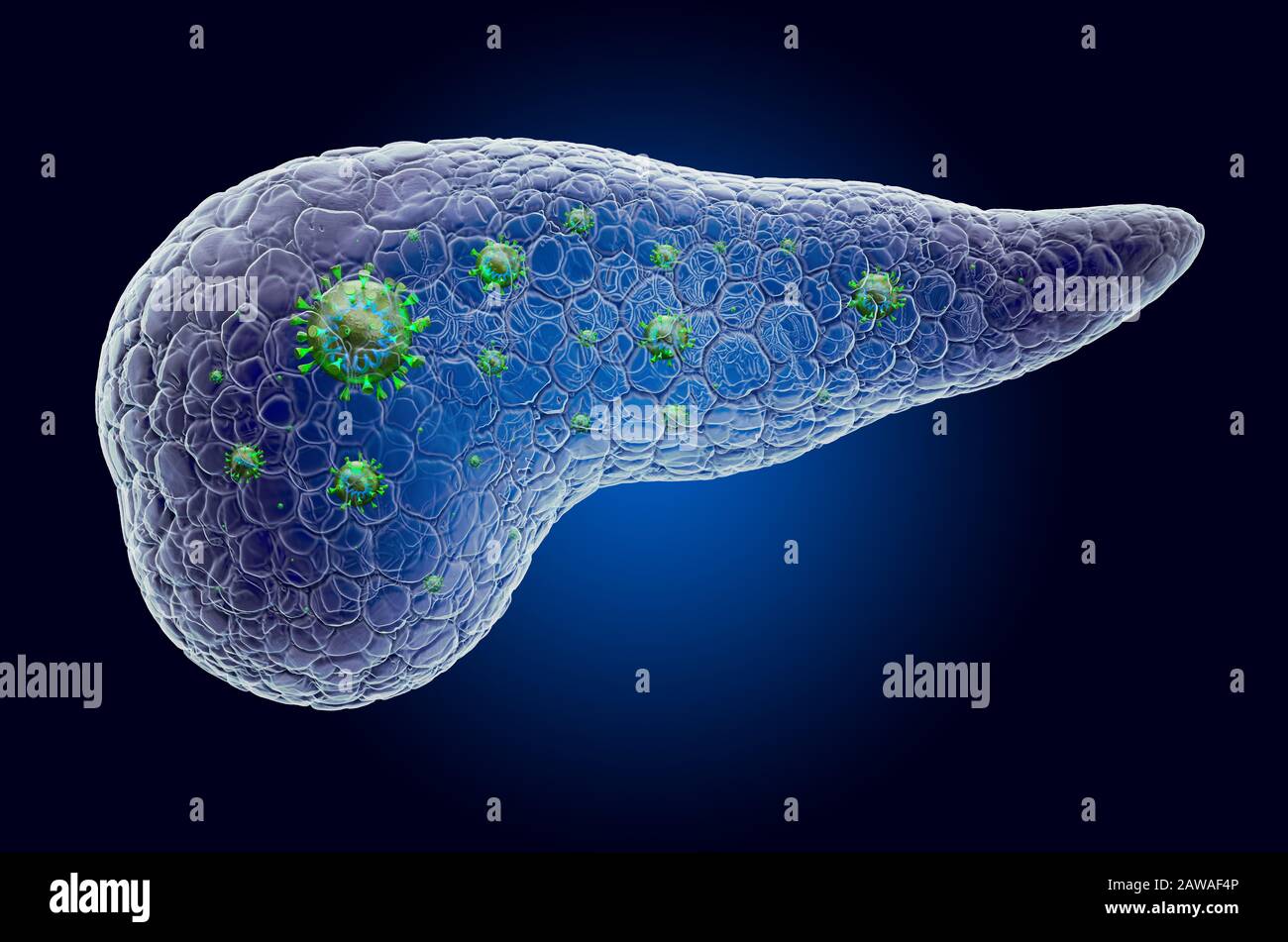 Pancreas con virus, effetto luce fantasma, ologramma a raggi X. Rendering 3D su sfondo blu scuro Foto Stock