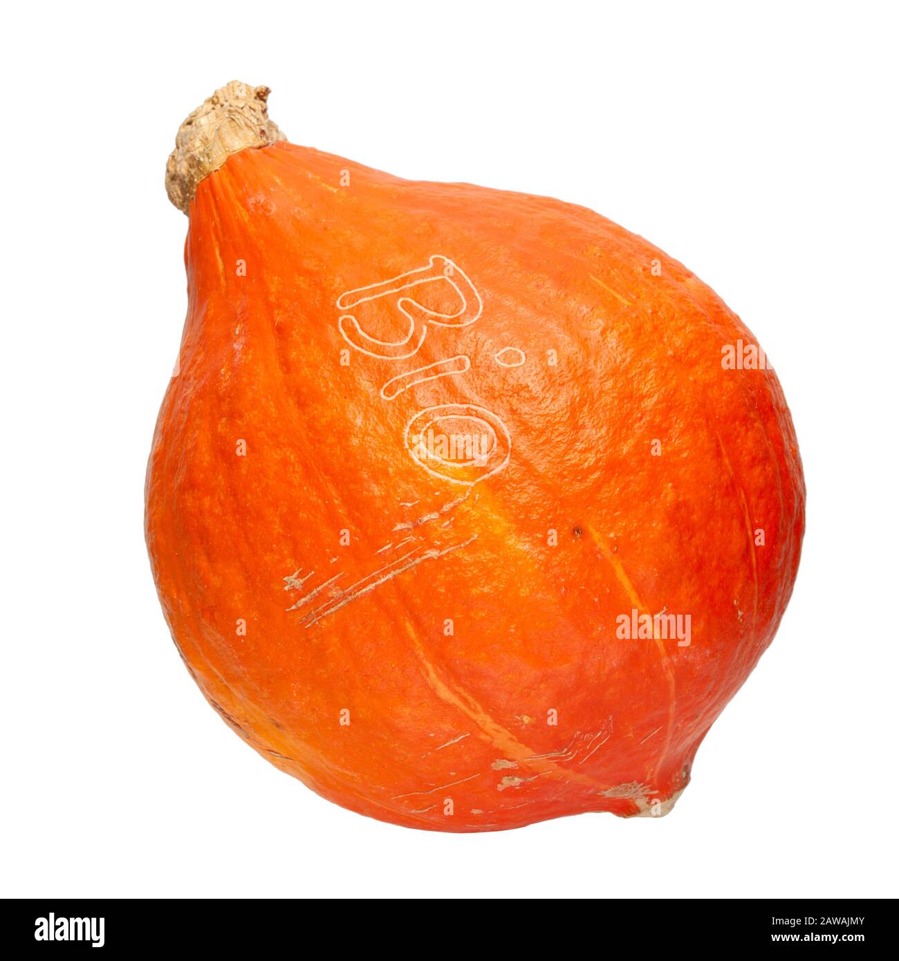 Zucca biologica hokkaido su sfondo bianco Foto Stock