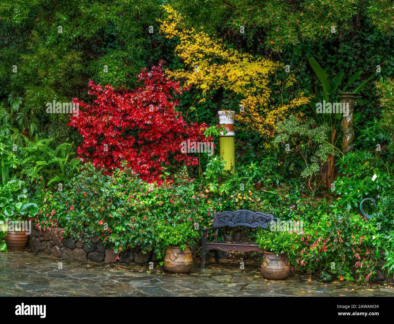 Giardino di Roccia, Cypress Garden, Mill Valley, California Foto Stock