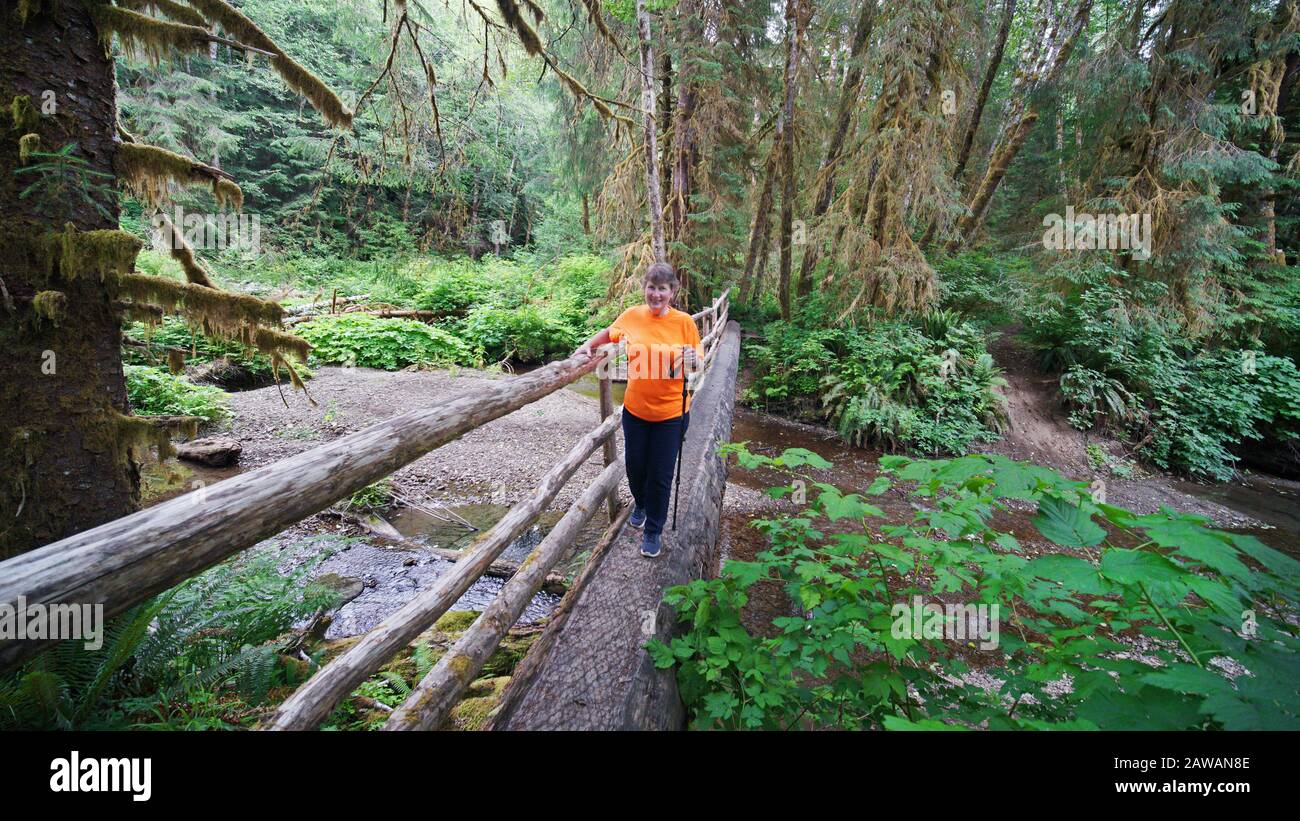 Un escursionista che attraversa un ponte di tronchi presso l'Elk Creek Conservation Area nella vecchia foresta pluviale temperata della penisola olimpica, Washington, USA. Foto Stock