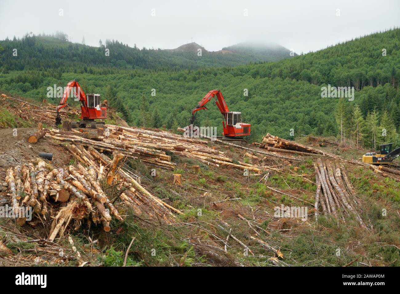 Raccolta di legname nella penisola olimpica dello Stato di Washington, Stati Uniti. Foto Stock