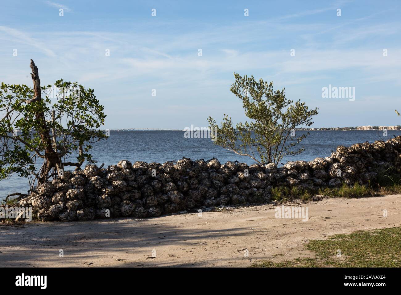 Le conchiglie vengono insaccate e impilate, pronte per essere dispiegate come parte del progetto Oyster Reef Restoration presso il Florida Oceanographic Coastal Center di Stuart. Foto Stock