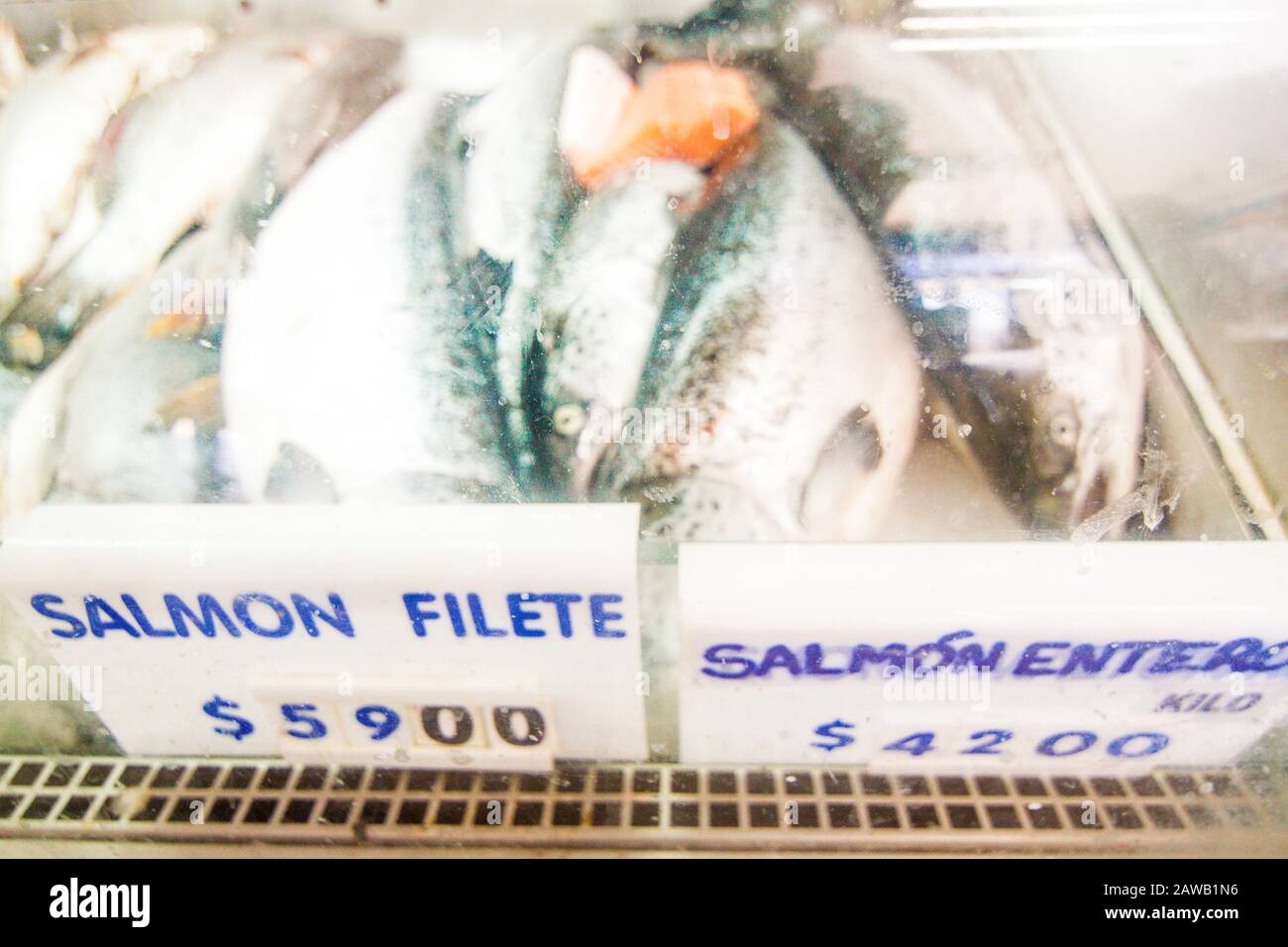 Filetti di salmone cileno nel mercato di Fisher Foto Stock