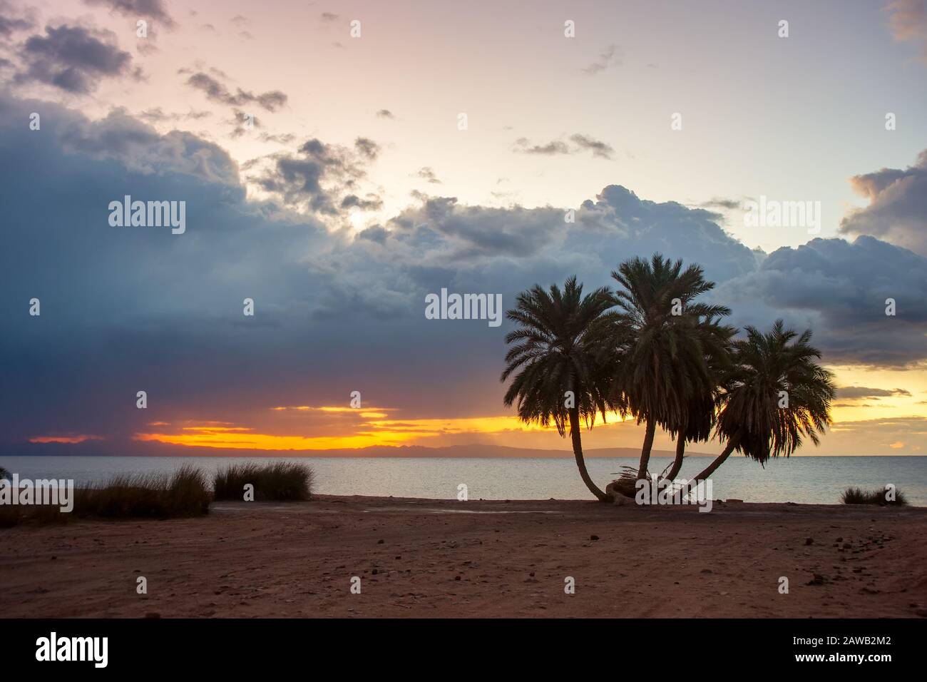 Paesaggio estivo con palme sulla spiaggia sabbiosa e maestosa alba sul mare. Bella vacanza in paradiso Foto Stock