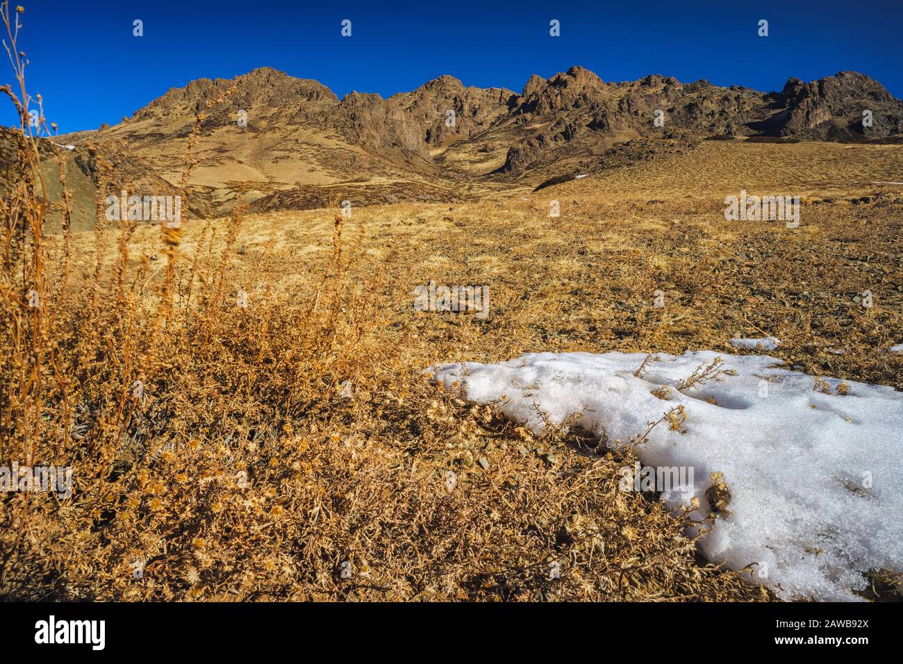Scene dalla famosa Eagle Valley della Mongolia nel deserto Gobi, parte del Gobi Gurvansaikhan National Park Foto Stock