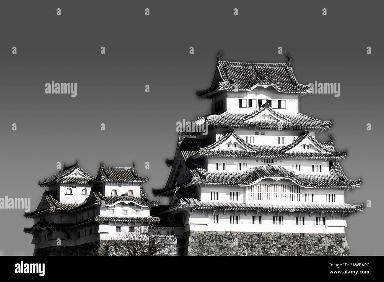 Principale impressione di bianco-nero del castello storico in Giappone vicino alla città di Osaka contro il cielo blu in una luminosa luce solare - tradizionale architettura giapponese. Foto Stock