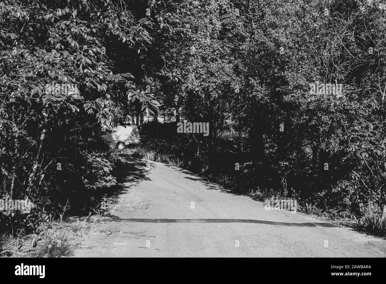 Strada di campagna attraverso la fitta foresta nero e bianco Foto Stock