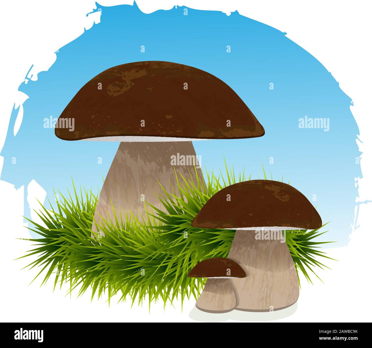 Funghi in erba sotto illustrazione vettore blu Illustrazione Vettoriale