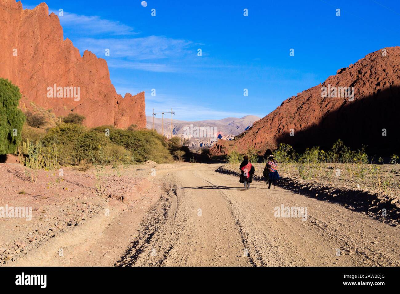 Popolo boliviano a piedi lungo la strada sterrata in Bolivia. Paesaggio boliviano Foto Stock