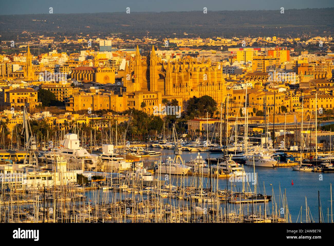 Panorama di Palma di Maiorca, Baia di Palma, con il porto turistico e la Cattedrale di Santa Maria, Isole Baleari, Spagna Foto Stock