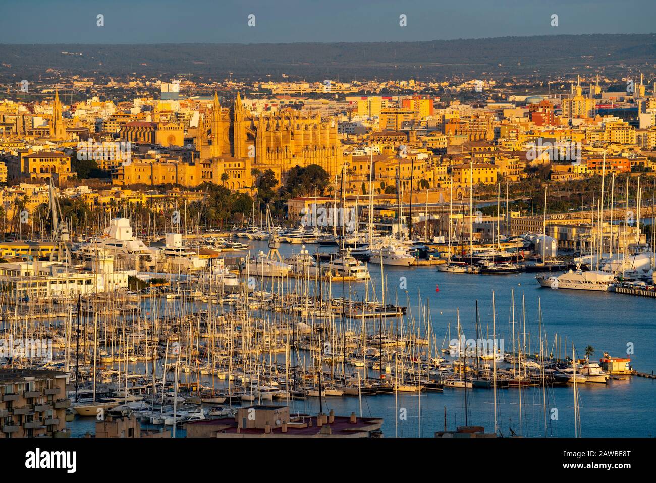Panorama di Palma di Maiorca, Baia di Palma, con il porto turistico e la Cattedrale di Santa Maria, Isole Baleari, Spagna Foto Stock