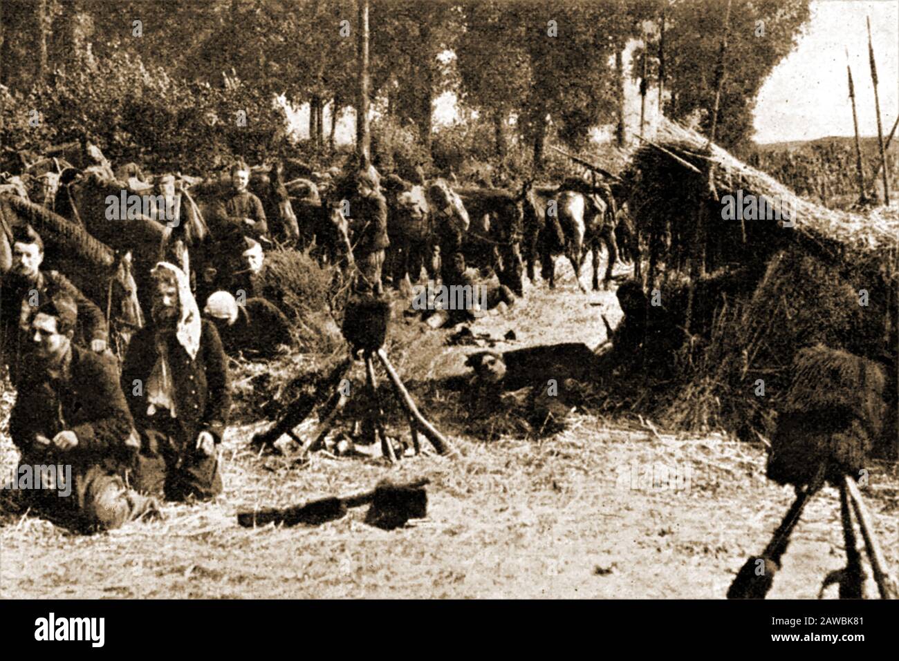 Assedio di Anversa della prima guerra mondiale - soldati belgi e loro cavalli bivacco in un bosco in ritirata da Anversa Foto Stock