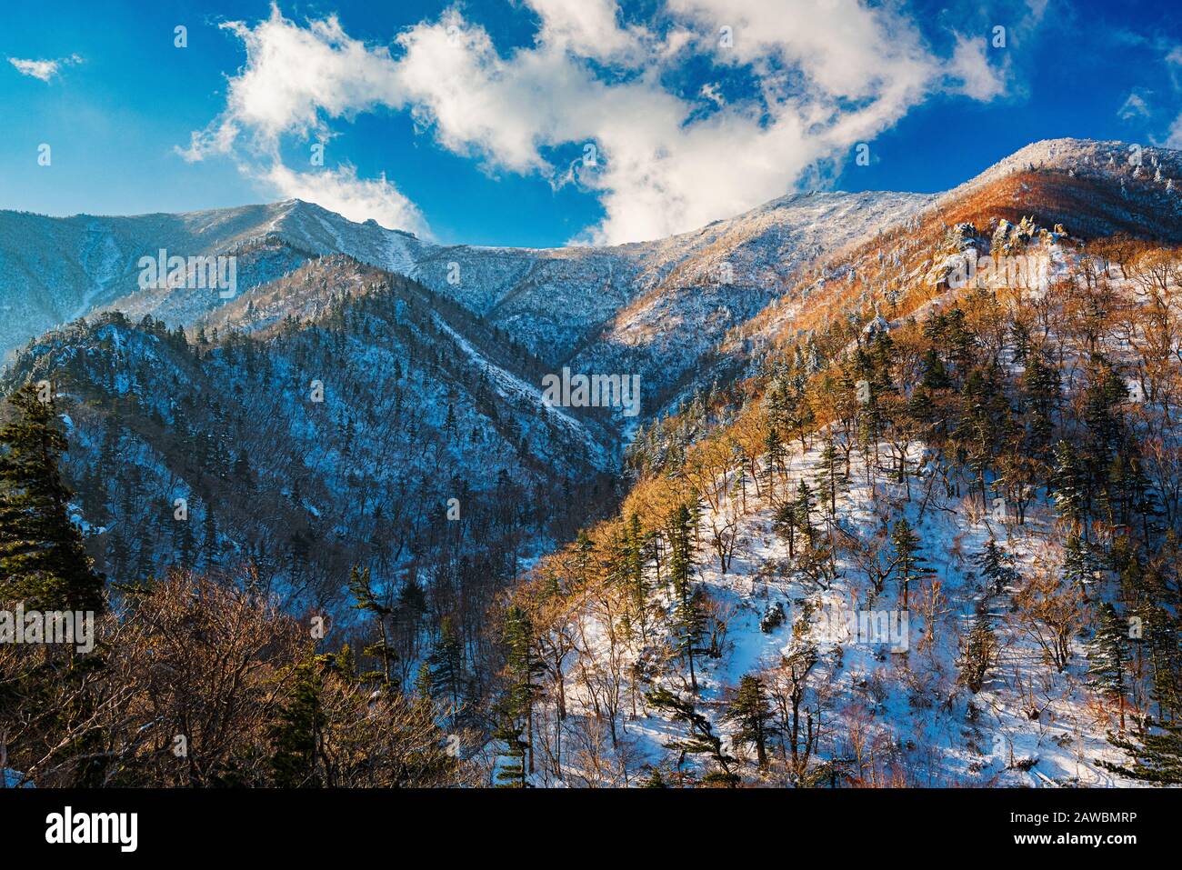 I suggestivi paesaggi del Seoraksan National Park in Corea del Sud sono mozzafiato, soprattutto in inverno. Foto Stock