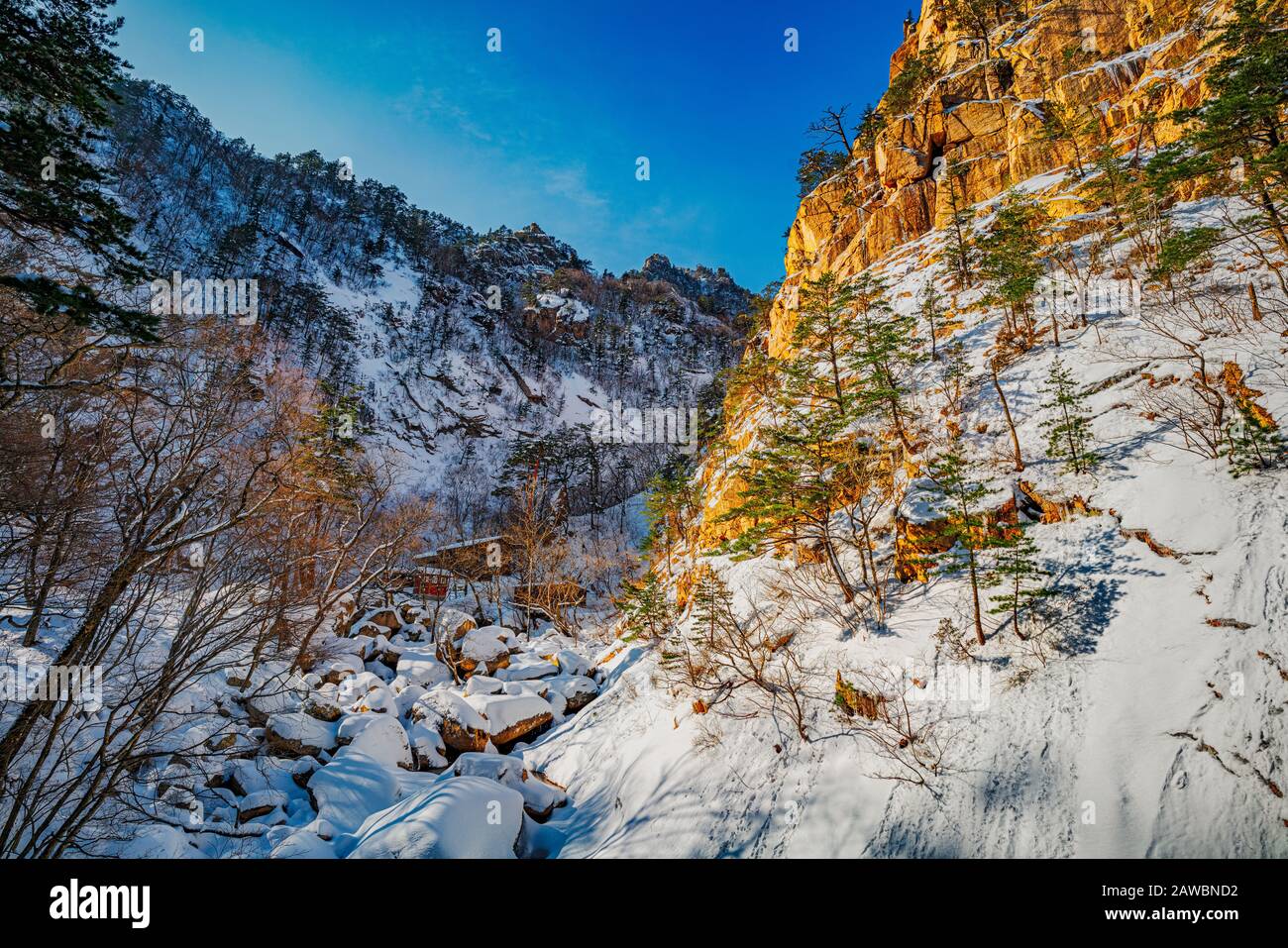 Alpinisti per congratularsi l'uno con l'altro e scattare foto dopo aver sfidato frigid temps e venti alti sulla cima del Monte Seorak, Corea Del Sud. Foto Stock