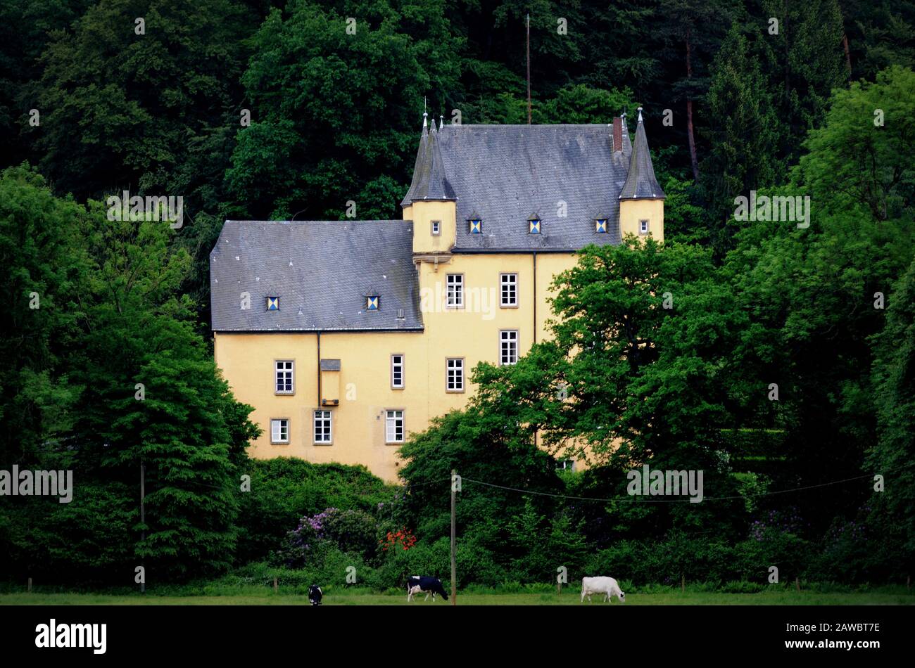 Il romantico castello di Strauweiler nelle foreste profonde di Bergisches Land in germania Foto Stock