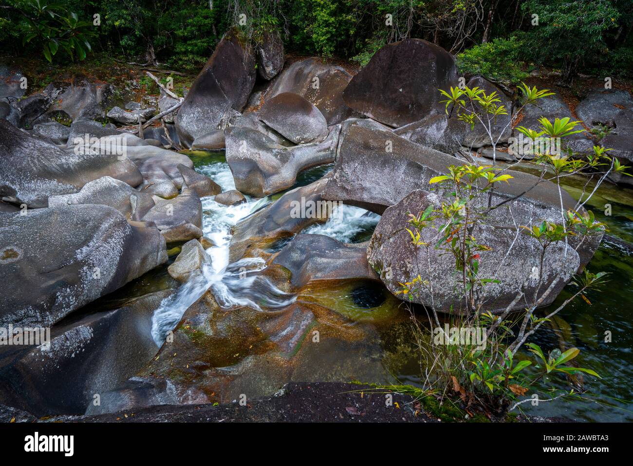 Babinda Creek ai piedi della catena Bellenden Ker Range, North Queensland, Australia Foto Stock