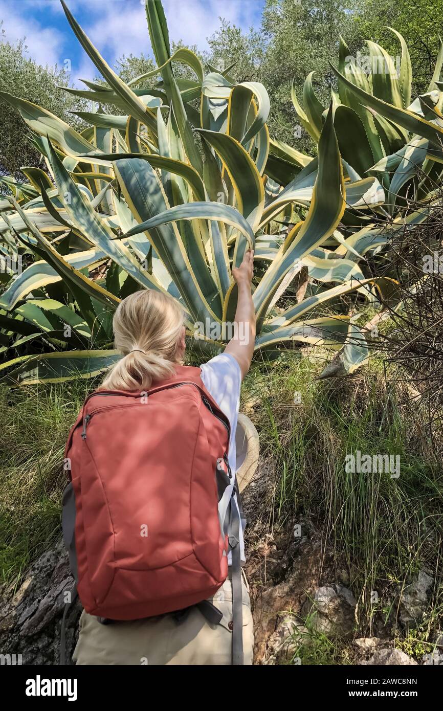 Donna con zaino sul suo retro esplora agave.Agave americana. Foto Stock