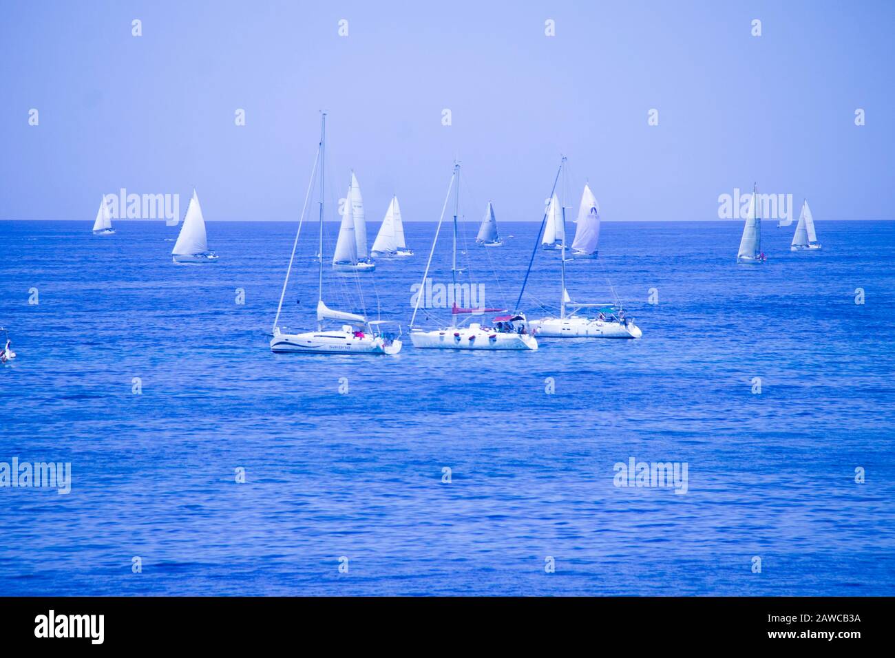 Gara di vela a Santa Marinella, Lazio, Italia Foto Stock