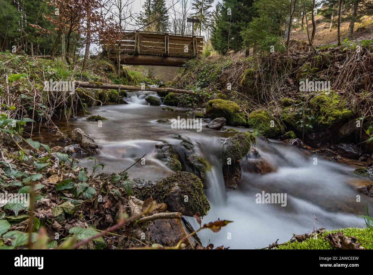 Escursione sul Belchen con una fantastica vista panoramica nella splendida Schonau nella Foresta Nera Foto Stock