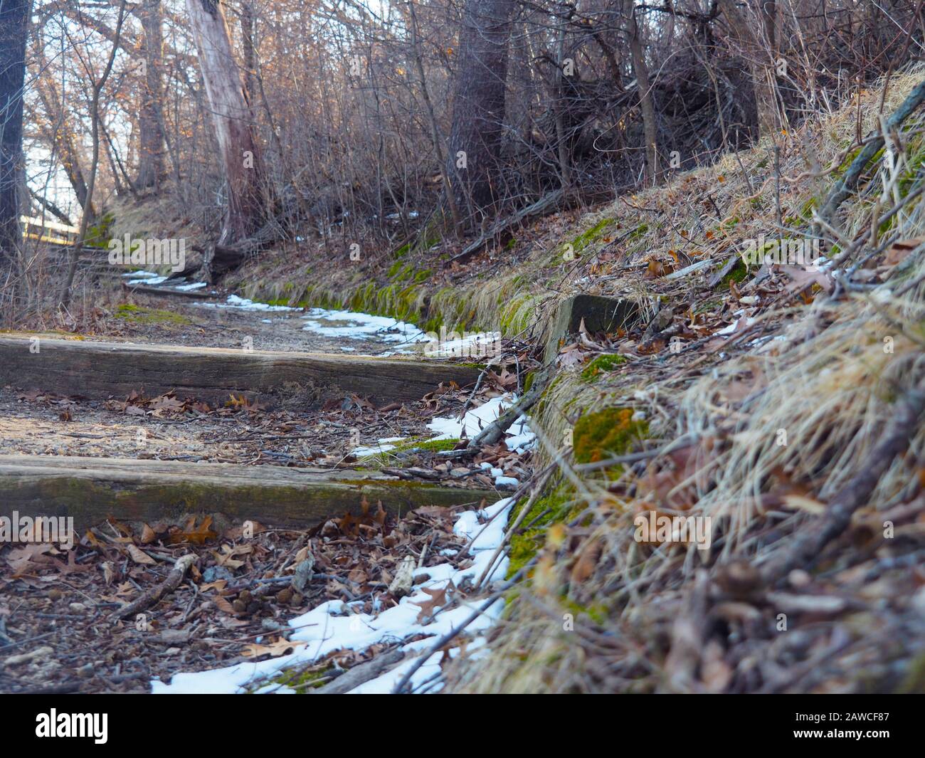 Pine Lake State Park - Trail In Inverno Foto Stock