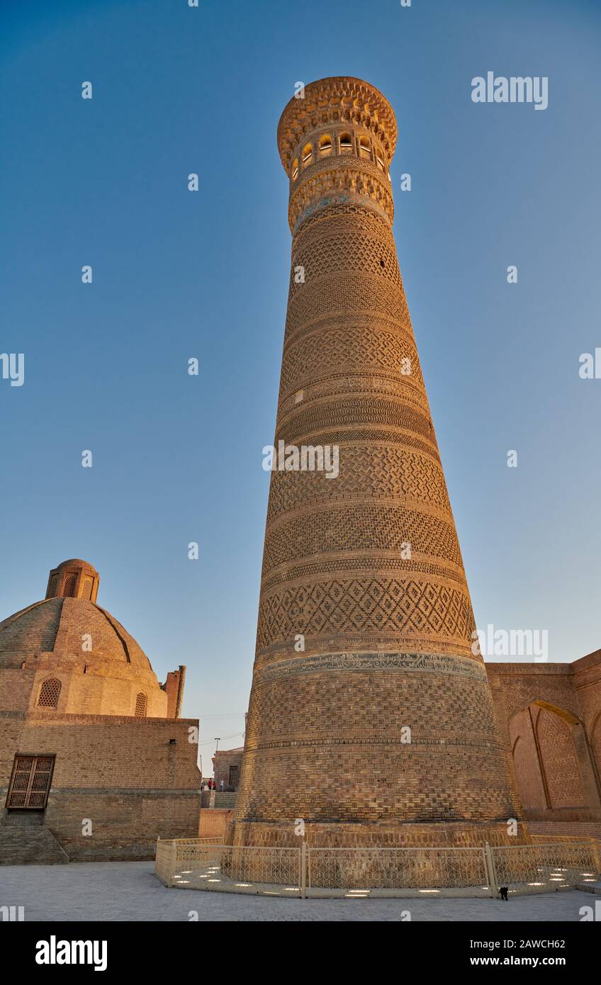 Minareto Di Kalon O Kaylon E Amir Alim Khan Madrassa, Bukhara, Uzbekistan, Asia Centrale Foto Stock
