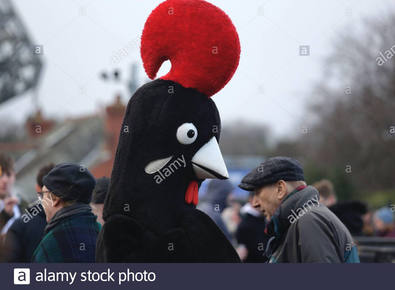 Edimburgo, Scozia, Regno Unito. 8th Feb 2020. Scozia / Inghilterra Sei Nazioni Rugby International pre match costruire fuori Murrayfield stadio. Credito: Craig Brown/Alamy Live News Foto Stock