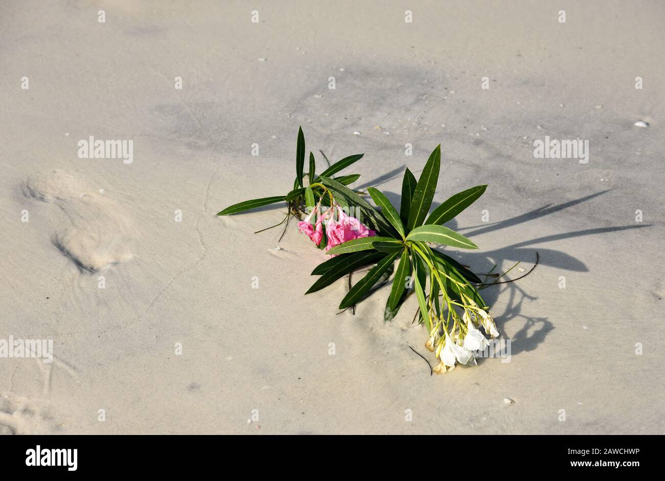 Fiori di una celebrazione nuziale che si trova nella sabbia sulla spiaggia Foto Stock