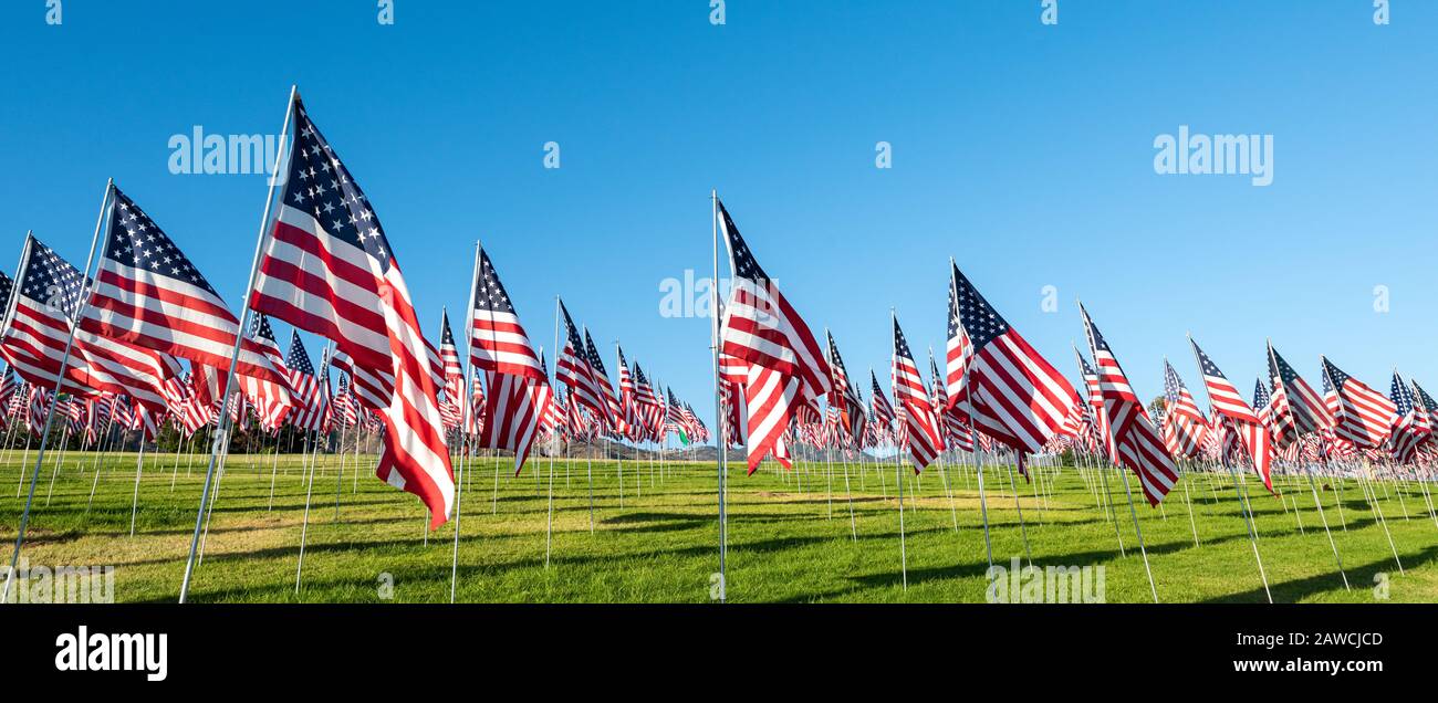Un grande gruppo di bandierine americane. Veterani o memorial day display Foto Stock