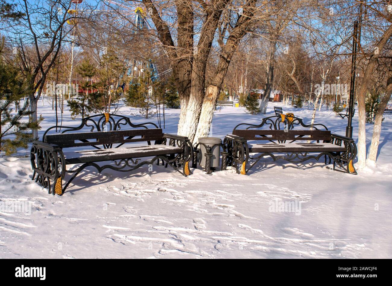 Due panchine del parco sono coperte da neve fresca. Inverno parco neve panchine vista durante la luce di giorno. Parco pubblico in inverno. Foto Stock