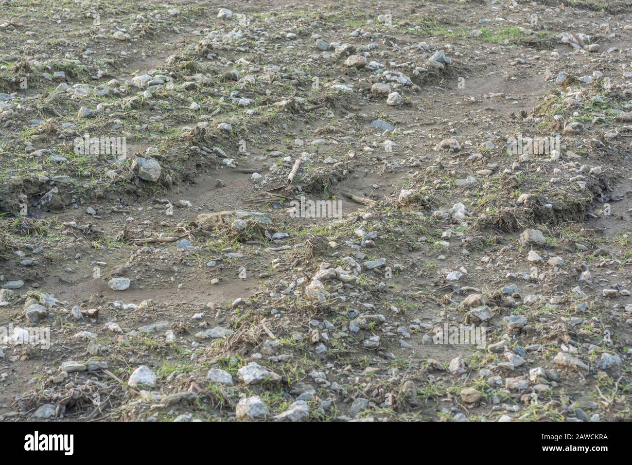 Molto campo pietroso. Terreno incolto dopo piogge invernali e forse lasciato per pascolo erba pascolo. Tessitura di suolo arata, caduta su terra di pietra, grpund grezzo Foto Stock