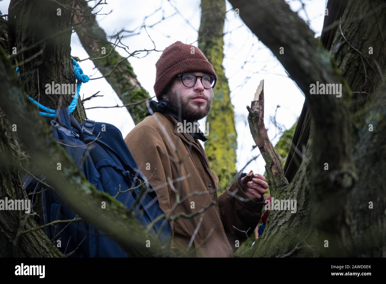 Harefield, Regno Unito. 8 Febbraio 2020. Un attivista ambientale di Extinction Rebellion occupa un albero di quercia veterano per cercare di impedire agli ingegneri HS2 di eseguire lavori di abbattimento di alberi per il progetto ferroviario ad alta velocità. Gli attivisti hanno avuto successo nel prevenire uno qualsiasi degli alberi di linea che felling da HS2 e dopo un intervento da parte di un poliziotto tutti gli alberi di abbattimento e il lavoro traboccante è stato ora annullato per il fine settimana. Credit: Mark Kerrison/Alamy Live News Foto Stock