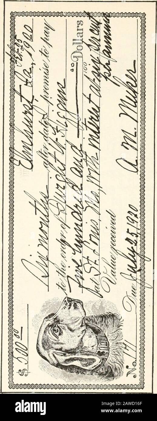 Dg4 Immagini E Fotos Stock Alamy