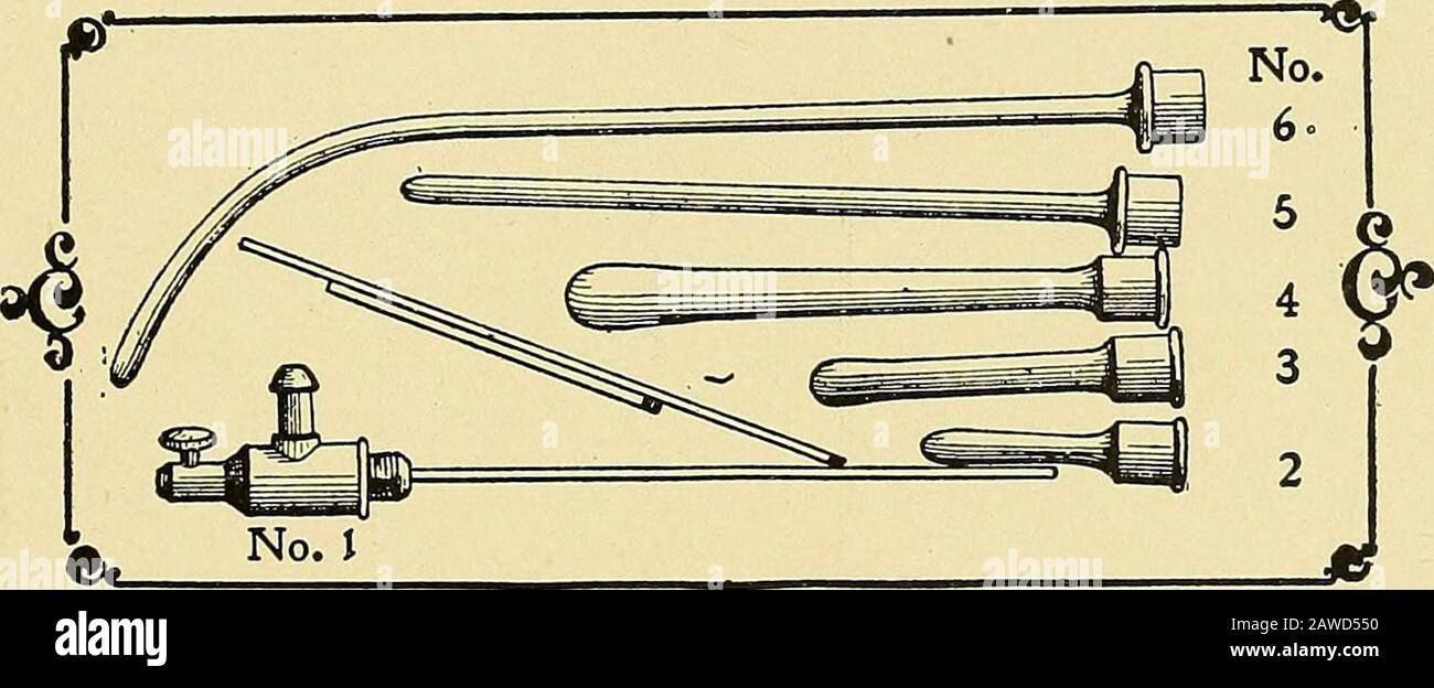 La guida elettroterapeutica, o, mille domande poste e risposte . questi organi, senza la sensazione che possiamo bruciare il paziente, o causare qualsiasi erosione o risultati sfavorevoli. Gli elettrodi uretrali solubili sia per il maschio che per la femmina, possono essere usati con grande successo, specialmente nella cistite e altre complicazioni della vescica, in quanto possono essere usati per lavare quell'organo, O dilatarlo, con soluzione salina la guida EI.KCTRO-TERAPEUTICA 91 acqua e poi si è convertito in un grande elettrodo. Questi sameelettrodi possono essere usati (con cura) come intra-uterino, con grande successo. L'elettrodo solubile per Foto Stock