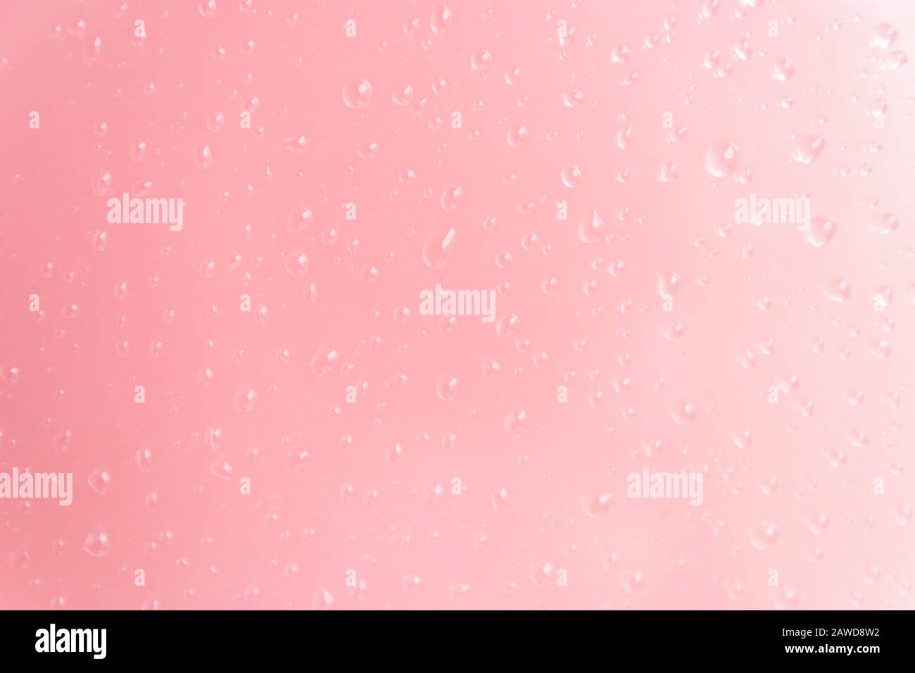 gocce di luce su uno sfondo rosa. texture per il prodotto pubblicizzare Foto Stock