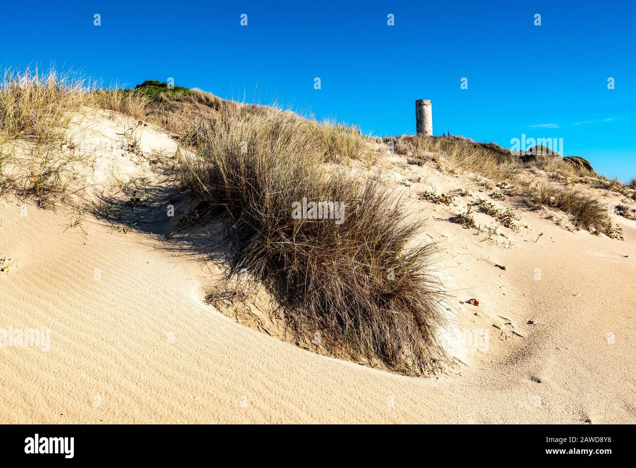 Fruehstueck am Strand von Playa Barrosa, Andalusien, Costa de la Luz, Duenen, Sandduenen, Foto Stock