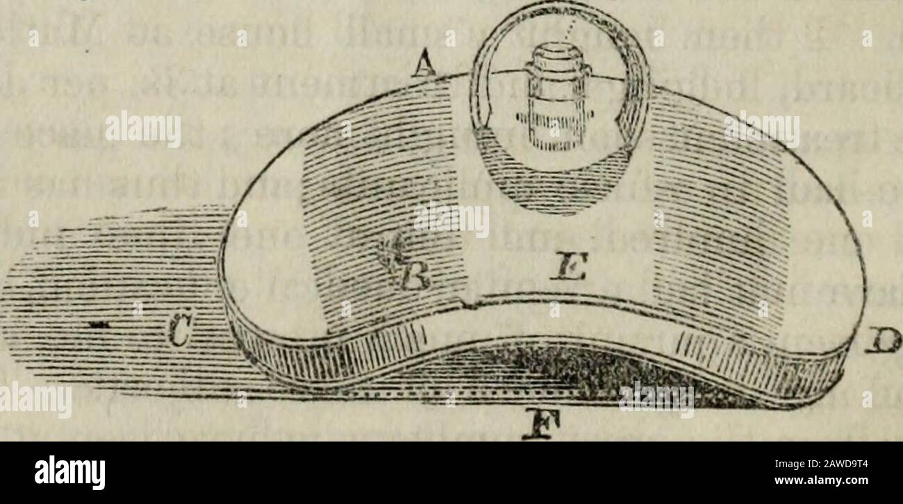 Idropatia pratica, compresi i piani di bagni e le osservazioni sulla dieta, l'abbigliamento e le abitudini di vita. bagno a immersione senza rischi. Potremmo fare riferimento a pazienti che si affacidano alla struttura per il sollievo, le cui malattie sono state causedimmergendo in un bagno freddo, o nel mare. Molti injuryby di fuga tale bagno, ma nessuno la pratica senza il rischio di beinginvalidi per il resto della loro vita, dalla congestione del cervello, asma, o tumori interni, causati dal sangue che è spinto in modo repentinante sugli organi interni e alcune parti deboli che non sono in grado di restituirlo. Le femmine, specialmente, sono Foto Stock