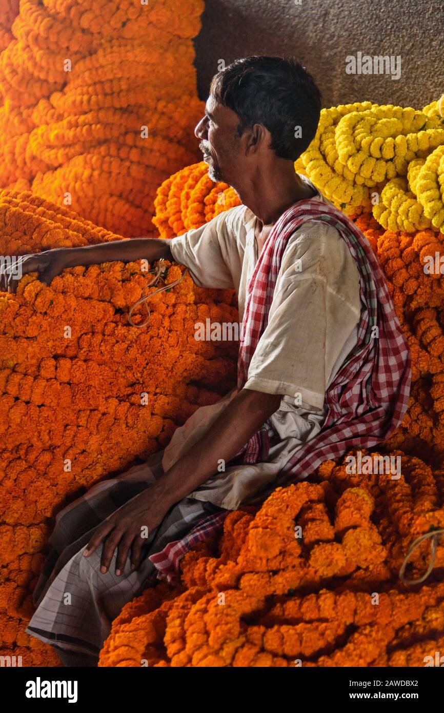 Venditore indiano con ghirlanda di fiori sul mercato dei fiori a Mallick Ghat a Kolkata. India Foto Stock