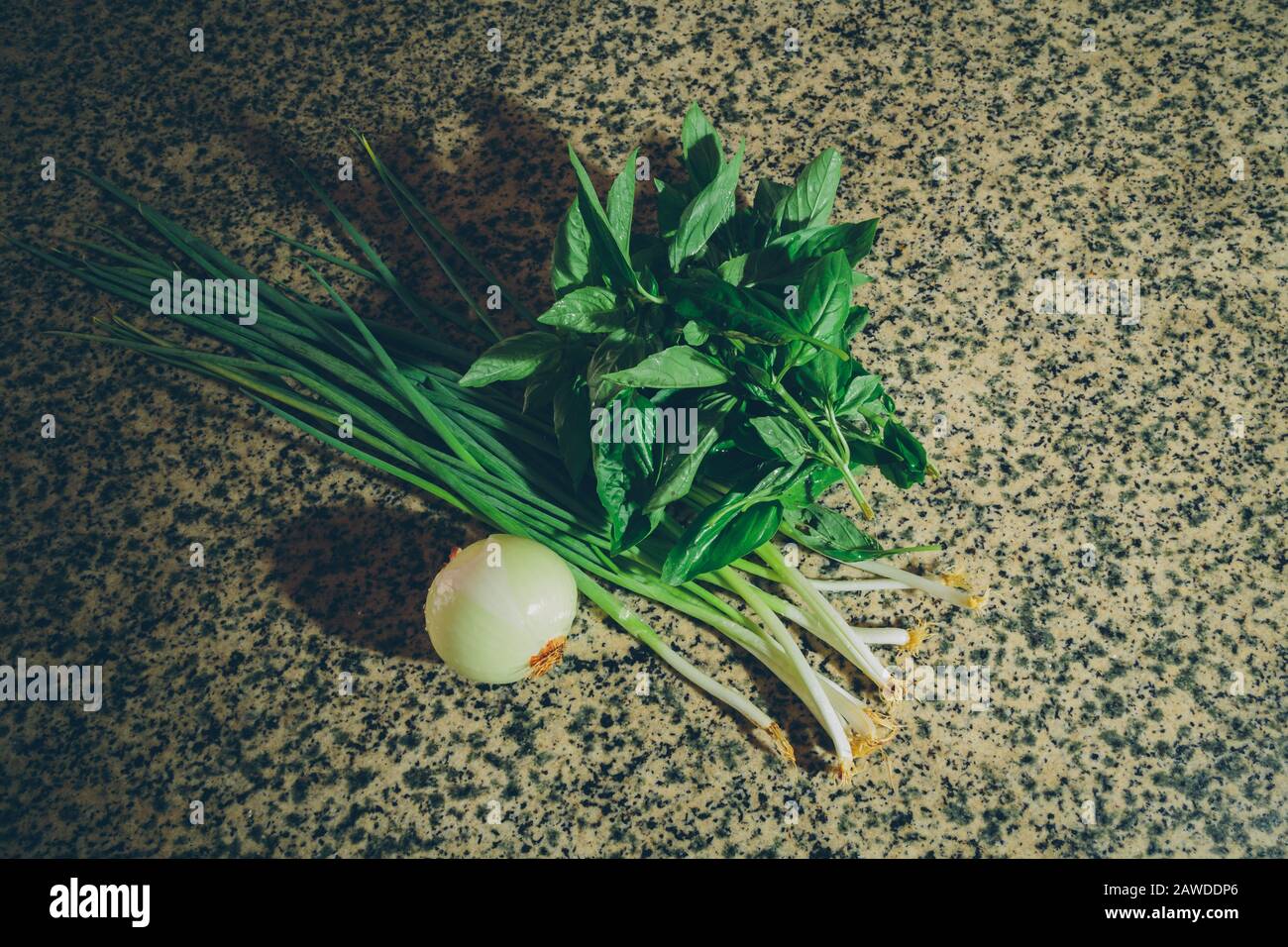 Cipolla sbucciata fresca e cruda (nota anche come cipolla a bulbo o cipolla comune), cipolla lunga "Ishikura" (cipolla di conigliatura) e basilico su un tavolo di granito Foto Stock