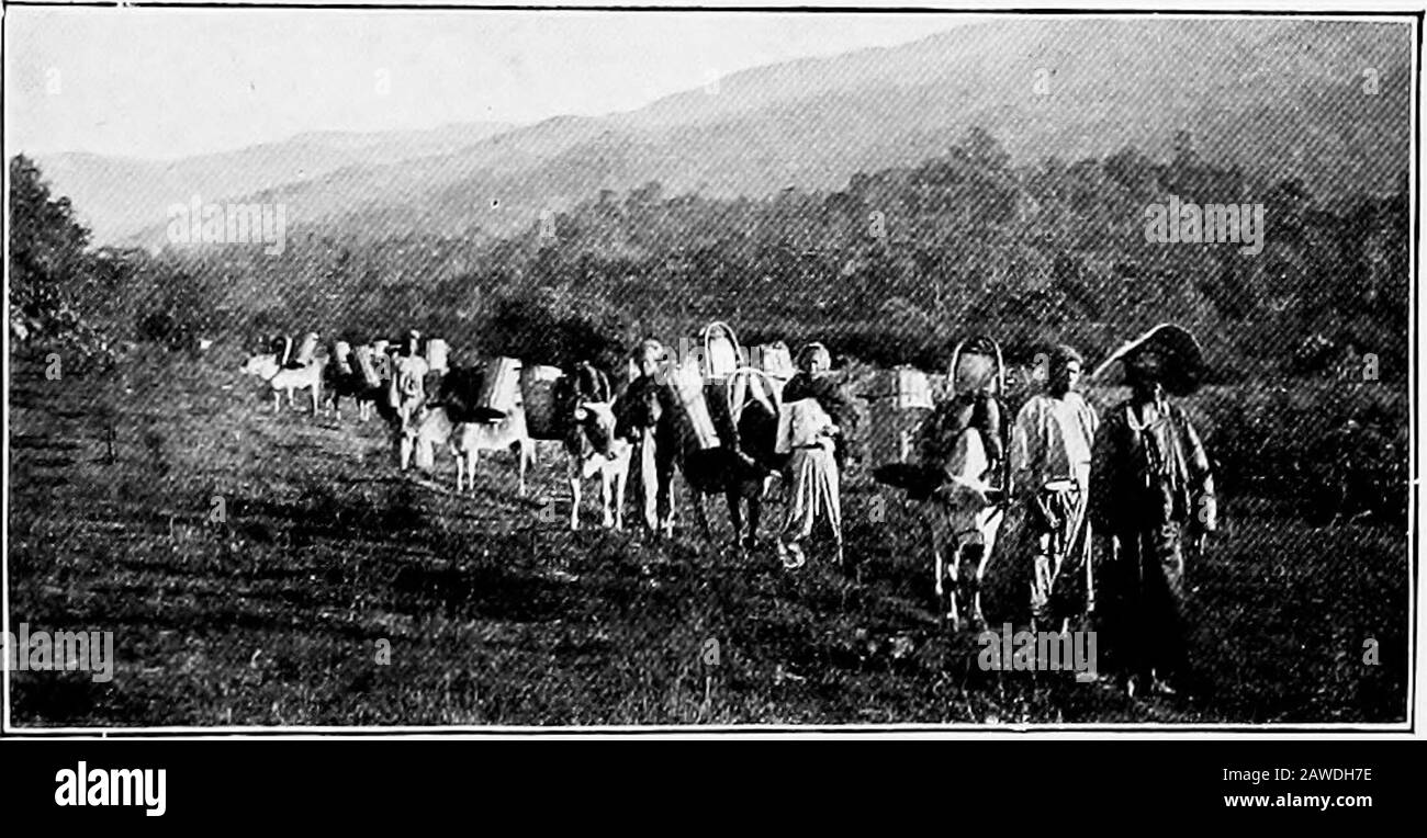 Birmania . 318. SHAN CAMP NELLE PIANURE. Capitolo VI RAZZE ALIENE A Differenza delle popolazioni omogenee dell'Occidente e della fareita, la maggior parte Asiatica Hvein la presenza di razze racesaliane a se stessi.Le razze Burman e theMun, membri distinti della famiglia Mon-goliana, che lottavano per la supre-macy per oltre un anno di sabbia, si sono efused, come i Normanni e Sassoni. Si ritiene che tali miscele di diverse varietitàdella stessa famiglia umana producano le migliori razze. Il linguaggio Mun(Peguan, Talaing) sopravvive in alcune località, ma altrove i Talainds non mantengono più alcuna separazione, in nam Foto Stock