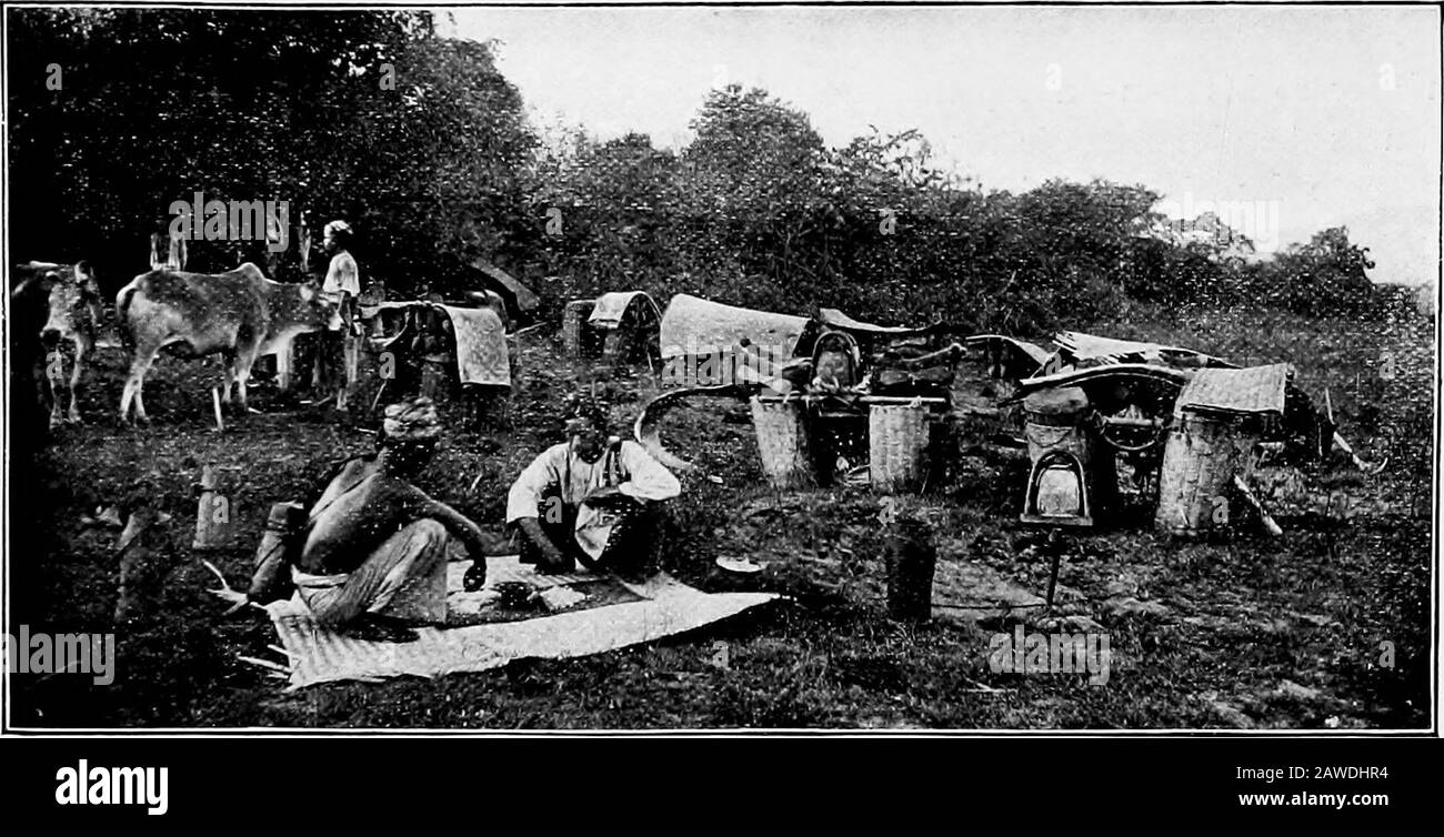 Birmania . 317. STAZIONE DEI TRAGHETTI.. 318. SHAN CAMP NELLE PIANURE. Capitolo VI RAZZE ALIENE A Differenza delle popolazioni omogenee dell'Occidente e della fareita, la maggior parte Asiatica Hvein la presenza di razze racesaliane a se stessi.Le razze Burman e theMun, membri distinti della famiglia Mon-goliana, che lottavano per la supre-macy per oltre un anno di sabbia, si sono efused, come i Normanni e Sassoni. Si ritiene che tali miscele di diverse varietitàdella stessa famiglia umana producano le migliori razze. Il linguaggio Mun(Peguan, Talaing) sopravvive in alcune località, ma altrove theTalainds non mantiene più alcuno Foto Stock