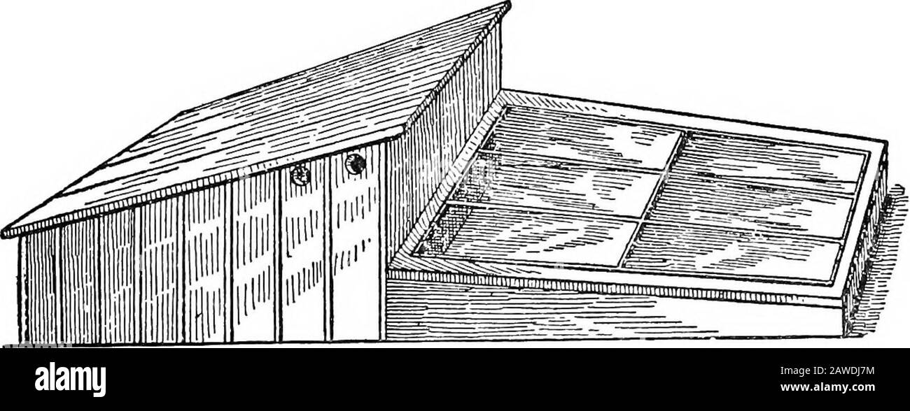 Il medico pratico delle scorte: Un libro di riferimento sicuro e di buon senso per l'agricoltore e il proprietario delle scorte .. . Fi-. 15- -Coop di pollo con X, ogiva e Ventilazione chiusa a prova di Hawk e Cat-Proof Run.-le case di pollame dovrebbero essere ben ven-tilate, Ma così disposto che le bozze non colpiranno il birds.Windows e le porte dovrebbero essere fornite in tali posizioni che thesun può brillare nell'edificio una parte considerevole del day.Sunshine è richiesto sia per mantenere la casa asciutta che per distruggere le varie forme di infezione. Fig. 16 – Coop con COOP DI POLLAME con copertura in vetro. – una fornitura liberale di coops shoul Foto Stock
