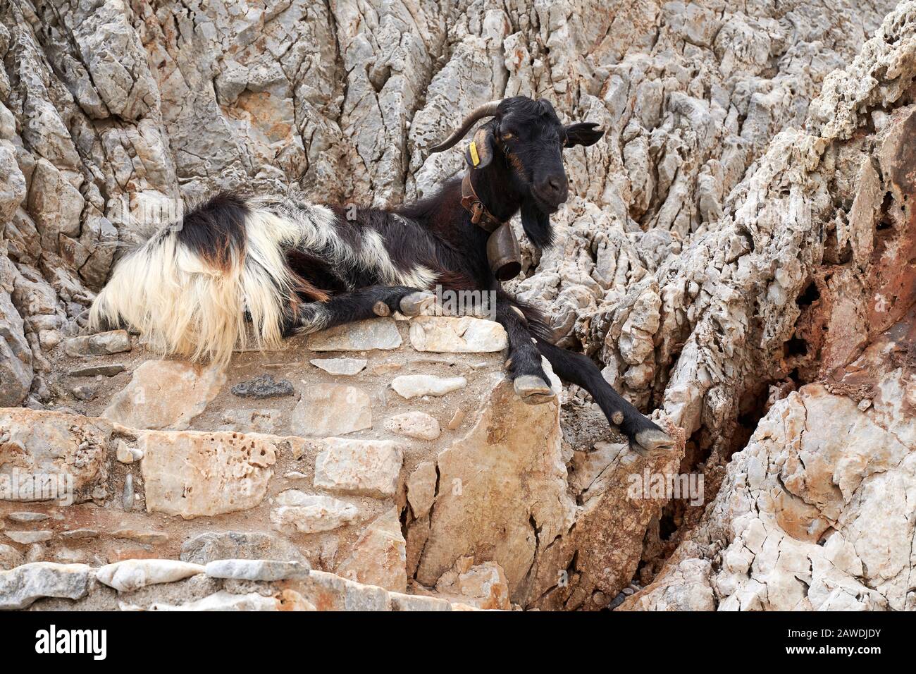 Litania seitana o Agiou Stefanou, la spiaggia celeste con acqua turchese. Chania in estate Foto Stock